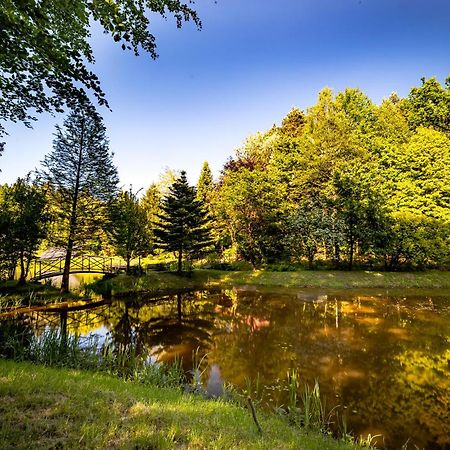 Dom Nad Stawem Villa Rakszawa Buitenkant foto