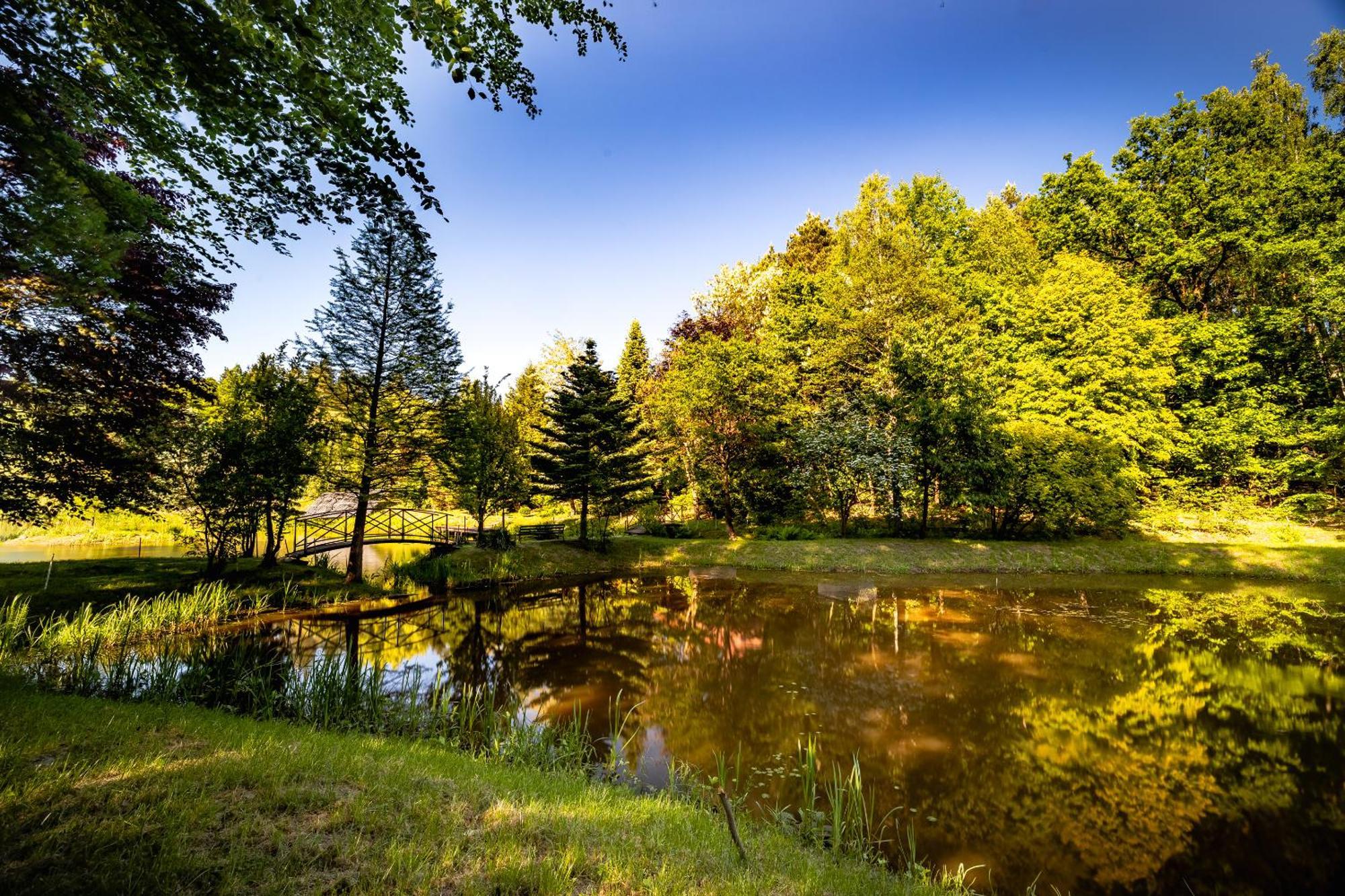 Dom Nad Stawem Villa Rakszawa Buitenkant foto